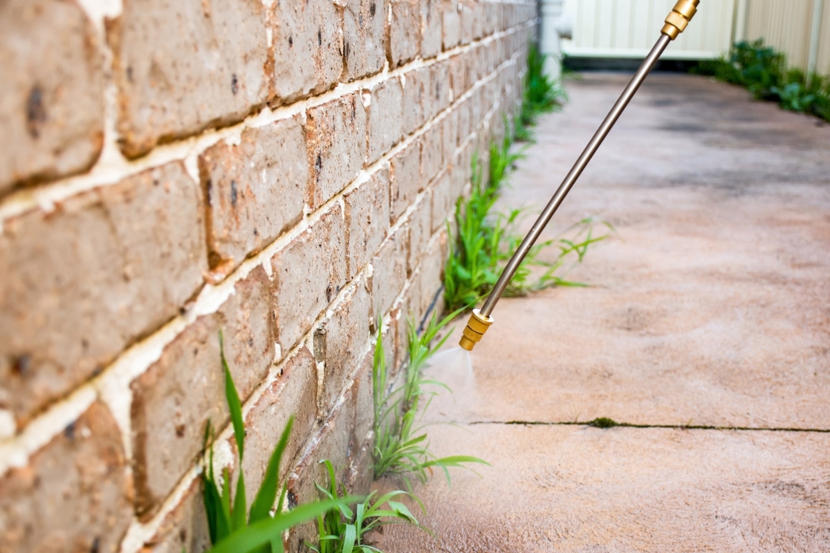 Perimeter-only protection focuses on treating the outside of your home to prevent pests from entering.