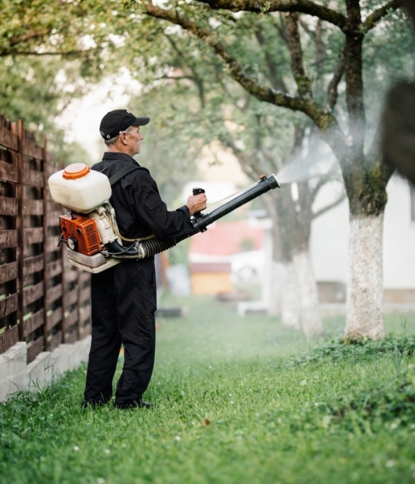 Our mosquito pest control helps keep mosquitos away during the season