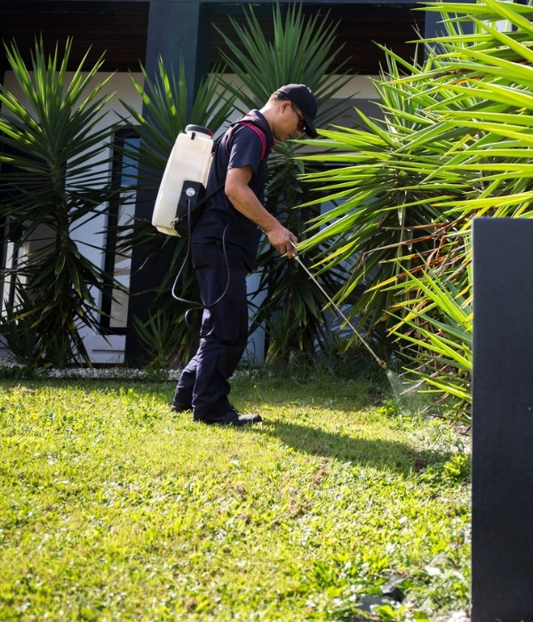 Exterior pest control to prevent pests from coming in