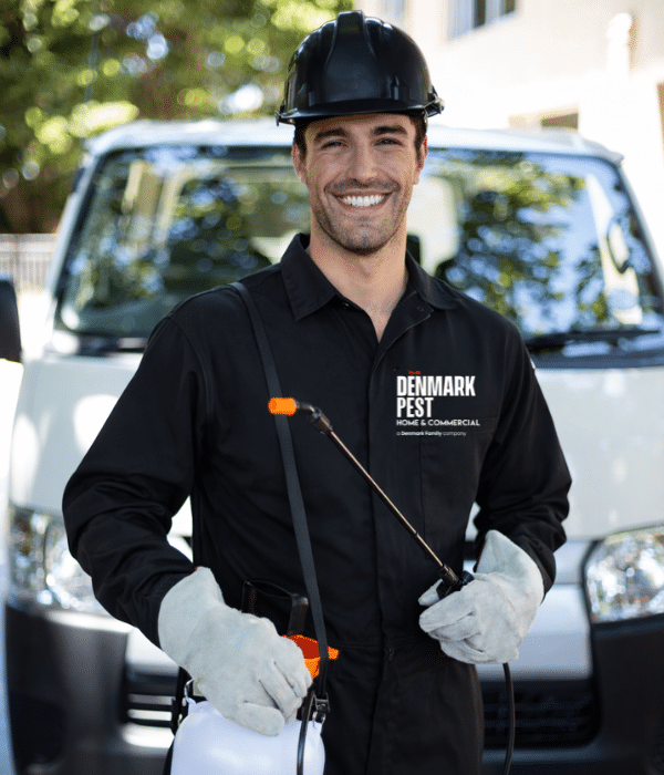The only pest control services in Benbrook , TX you can rely on