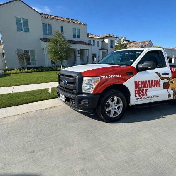 Our Denmark Family brings faciliates lawn care through lawn and landscaping pest control