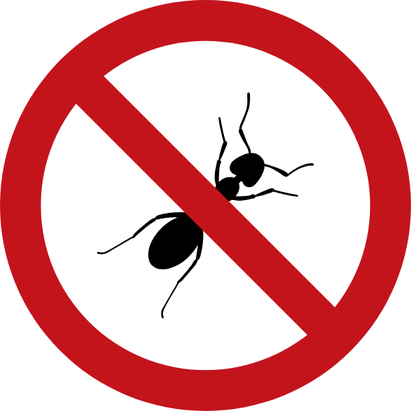 Get rid of termites in you home