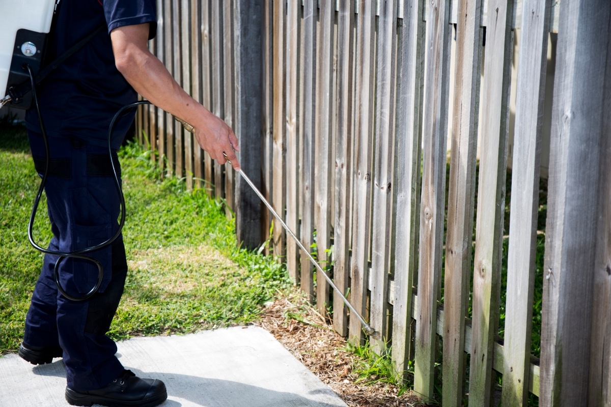 pest-control-sample