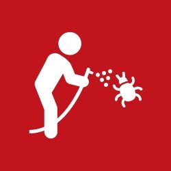 Pest control services that protect your home