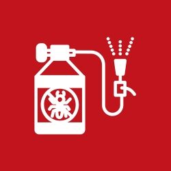 Take action an protect your home now with our quarterly pest control